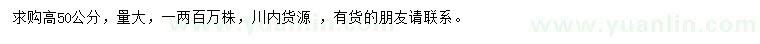 求購高50公分五倍子小苗