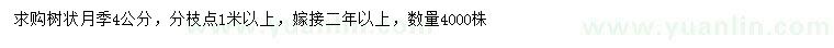 求購(gòu)4公分樹狀月季