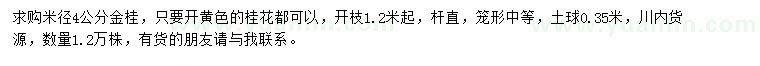 求購米徑4公分金桂