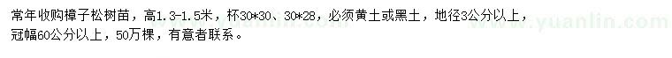 求購高1.3-1.5米樟子松