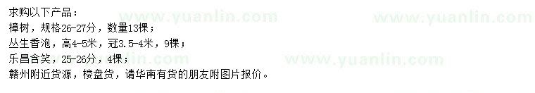 求購(gòu)樟樹、香泡、樂昌含笑