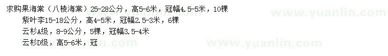 求購(gòu)八棱海棠、紫葉李、云杉