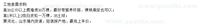 求購高30公分以上爬墻虎、高1米以上白皮松