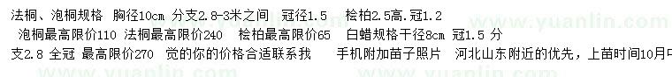 求購(gòu)法桐、泡桐、檜柏等