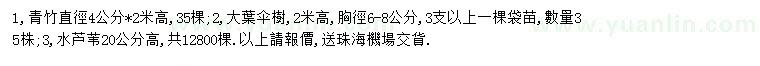 求購(gòu)青竹、大葉傘樹(shù)、水蘆葦