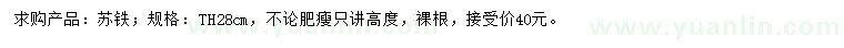 求購(gòu)蘇鐵