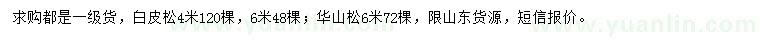 求購4、6米白皮松、6米華山松