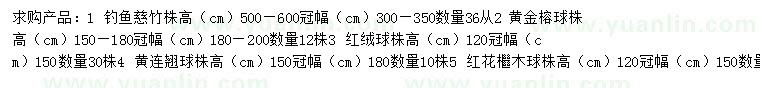 求購釣魚慈竹、黃金榕球、紅絨球等
