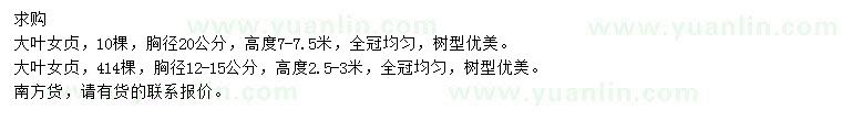 求購胸徑12-15、20公分大葉女貞