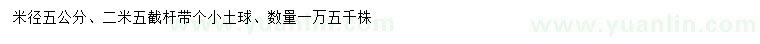 求購(gòu)米徑5公分重陽(yáng)木