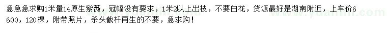 求購1米量14公分原生紫薇