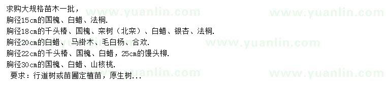 求購(gòu)國(guó)槐、白蠟、法桐等
