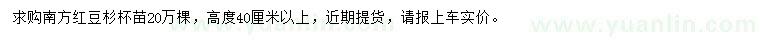 求購(gòu)高40公分以上南方紅豆杉