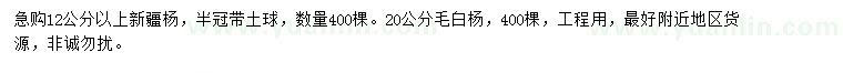 求購(gòu)12公分以上新疆楊、20公分毛白楊