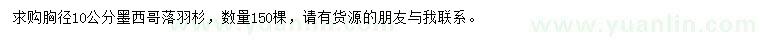 求購胸徑10公分墨西哥落羽杉
