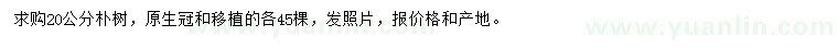 求購20公分樸樹