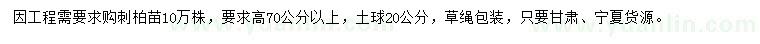求購高70公分以上刺柏苗