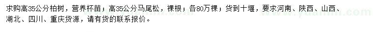 求購高35公分柏樹、馬尾松
