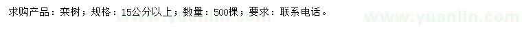 求購15公分以上欒樹
