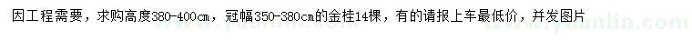 求購高度380-400公分金桂