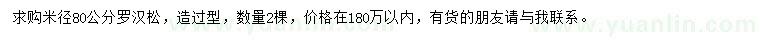 求購米徑80公分羅漢松
