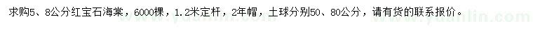 求購5、8公分紅寶石海棠