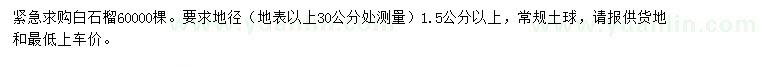 求購地徑1.5公分白石榴