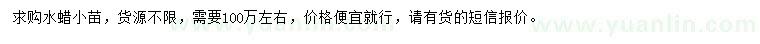 求購水蠟小苗