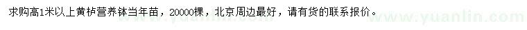 求購高1米以上黃櫨小苗