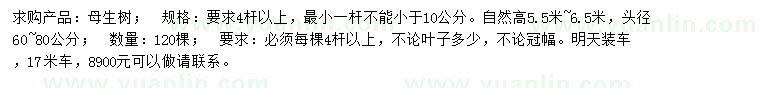 求購(gòu)母生樹
