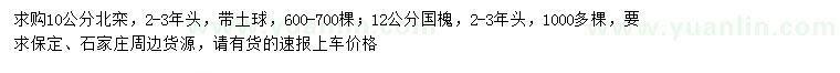求購10公分北欒、12公分國槐
