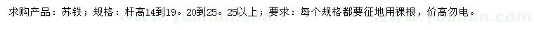 求購(gòu)桿高14-19、20-25、25公分以上蘇鐵
