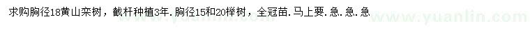 求購胸徑18公分黃山欒樹、胸徑15、20公分櫸樹