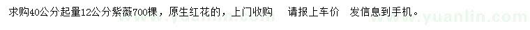 求購40公分起量12公分紫薇