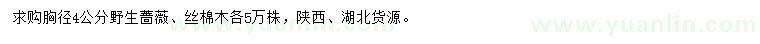 求購胸徑4公分野生薔薇、絲棉木
