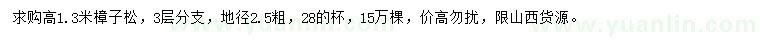 求購高1.3米樟子松