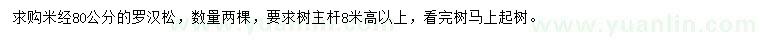 求購米徑80公分羅漢松