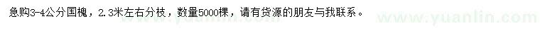 求購(gòu)3-4公分國(guó)槐