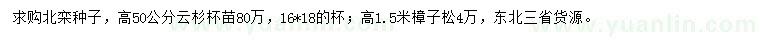 求購(gòu)北欒種子、云杉、樟子松