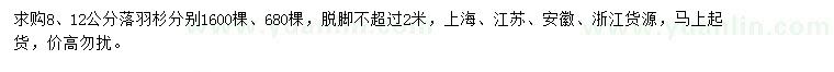 求購胸徑8、12公分落羽杉