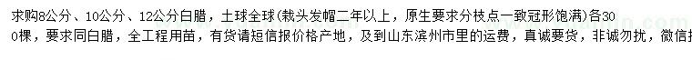 求購8、10、12公分白臘