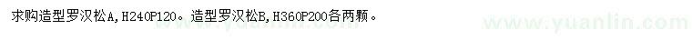 求購(gòu)高240、360公分造型羅漢松