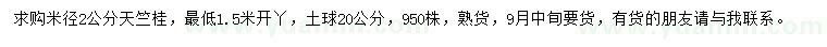求購米徑2公分天竺桂