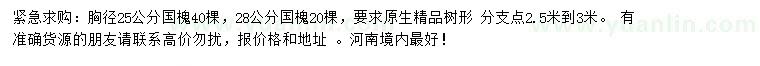 求購胸徑25、28公分國槐