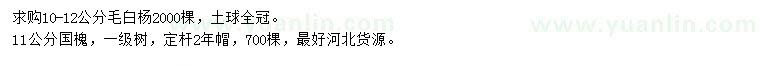 求購10-12公分毛白楊、11公分國槐
