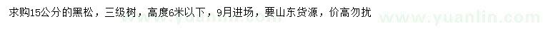 求購15公分黑松