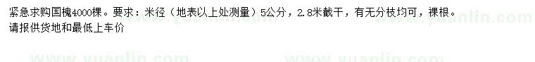 求購米徑5公分國槐