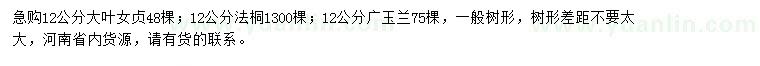 求購大葉女貞、法桐、廣玉蘭