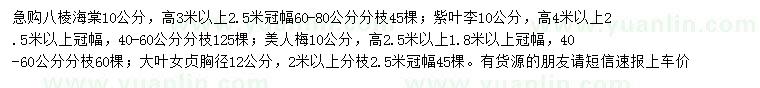 求購八棱海棠、紫葉李、美人梅等