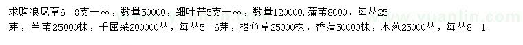 求購(gòu)狼尾草、細(xì)葉芒、蘆葦?shù)? />
                        <br />
                        <label style=